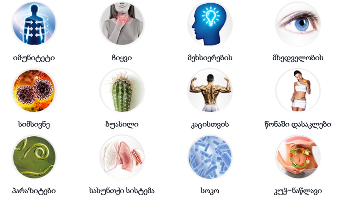Exploring Innovations in Bio Pharmacy: The Future of Healthcare Solutions